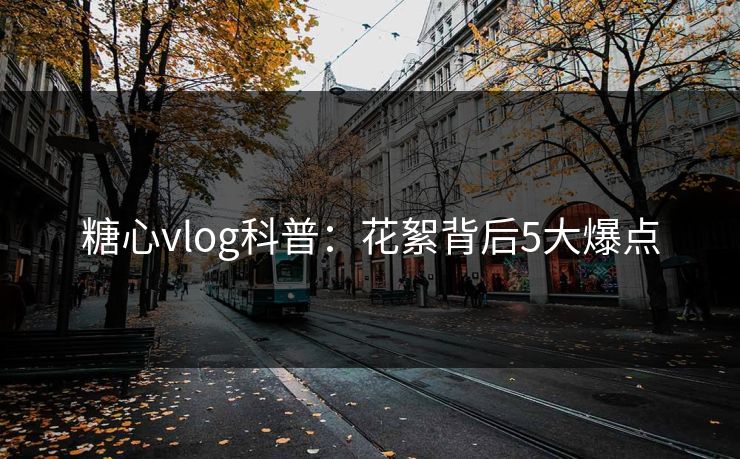 糖心vlog科普：花絮背后5大爆点