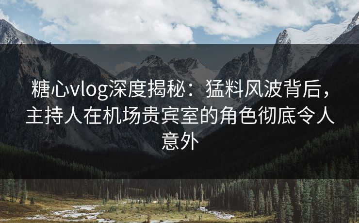 糖心vlog深度揭秘：猛料风波背后，主持人在机场贵宾室的角色彻底令人意外